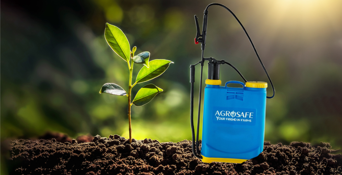 toothbrush manufacturers